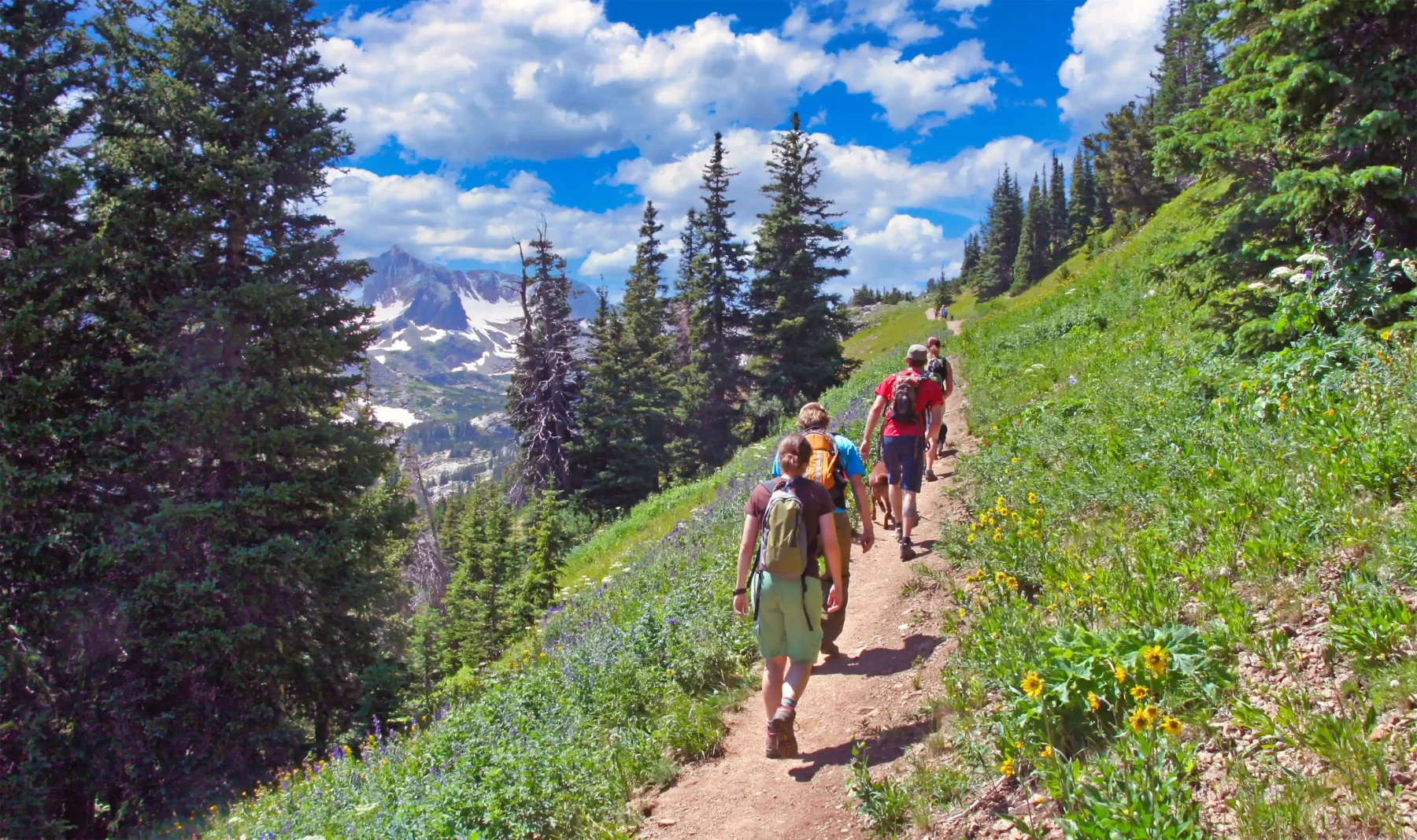 A group of hikers walking a dirt path up a mountain